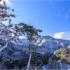 九州の雪景色