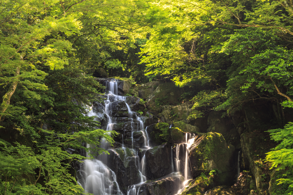 白糸の滝2