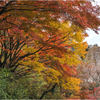 紅葉巡り2
