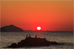 夕陽を浴びて