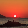 夕陽を浴びて