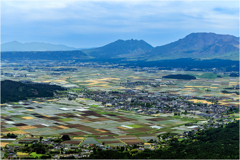 阿蘇の千枚田