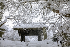 いつかの雪景色