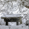いつかの雪景色