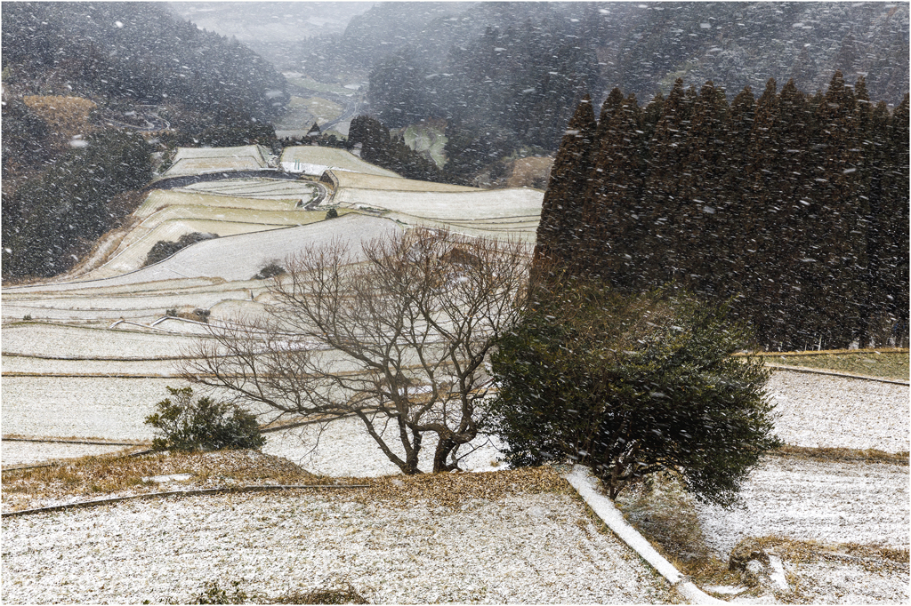 雪の棚田