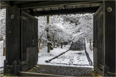 雪の日の秋月4