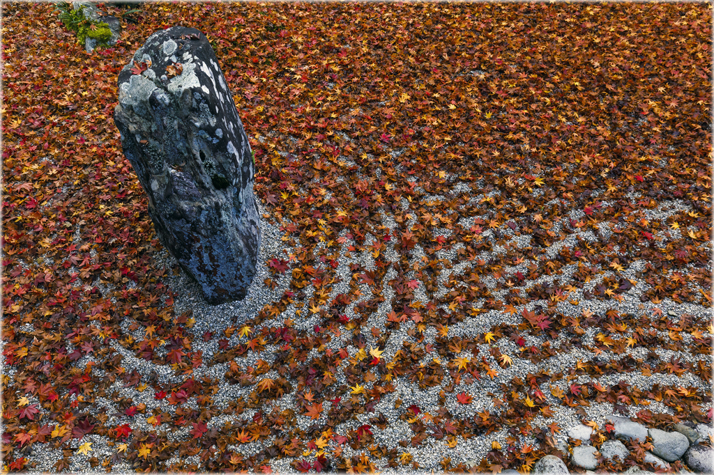 晩秋の光明禅寺2