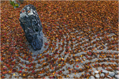 晩秋の光明禅寺2