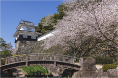 桜咲く玖島城址2
