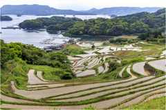 田植えの頃