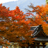 晩秋の寺2