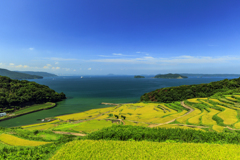 真夏の棚田巡り1