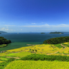 真夏の棚田巡り1