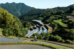 田植えの季節