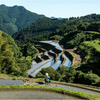 田植えの季節