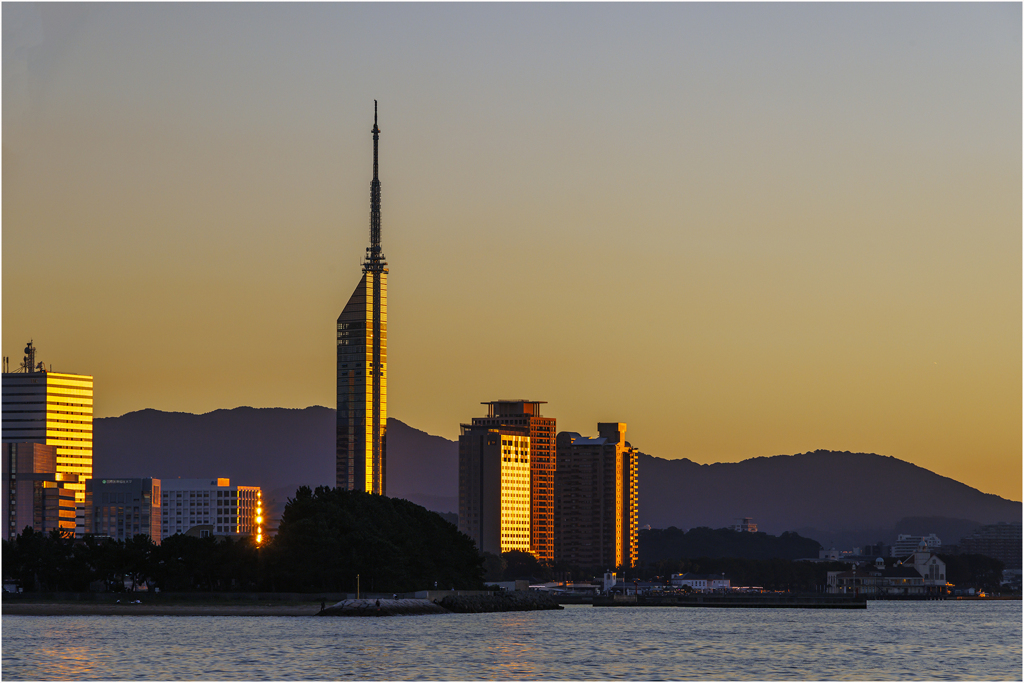 夕日を受けて