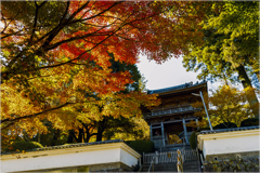 晩秋の古刹8