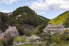 春の里山巡り