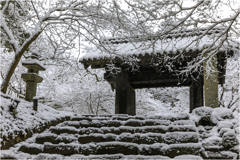 雪の日の秋月3