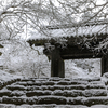 雪の日の秋月3