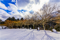 雪の里山散策