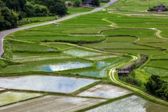 田んぼのある風景