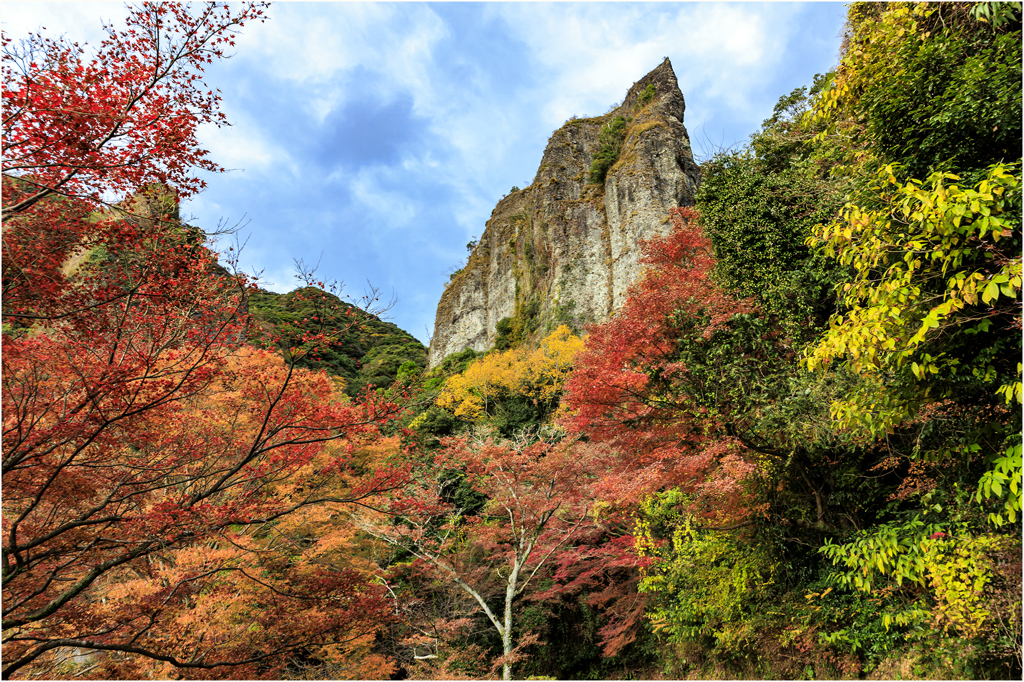 紅葉巡り
