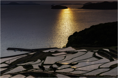 夕刻の棚田2