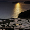 夕刻の棚田2