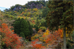 紅葉狩り2