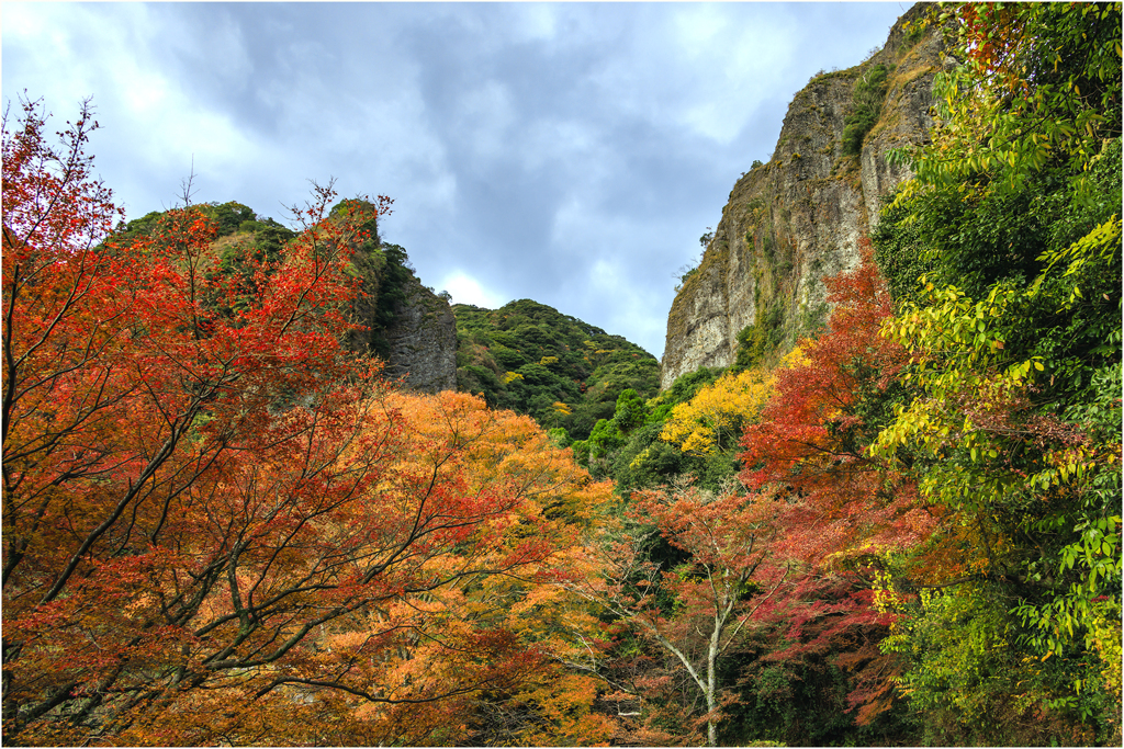 紅葉狩り2