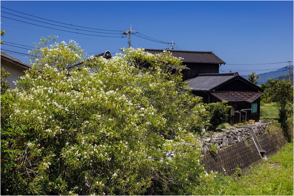 里山散策