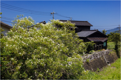 里山散策