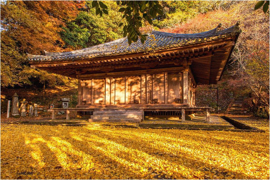 晩秋の国宝 富貴寺3