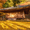晩秋の国宝 富貴寺3
