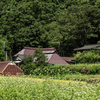 里の秋