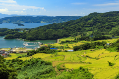 真夏の棚田巡り10