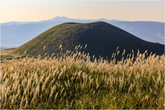 米塚と薄 米塚と薄