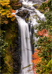 秋彩の鵜ノ子滝2