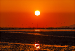 いつかの夕日