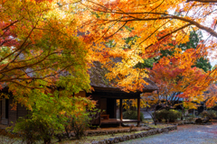 平家の里