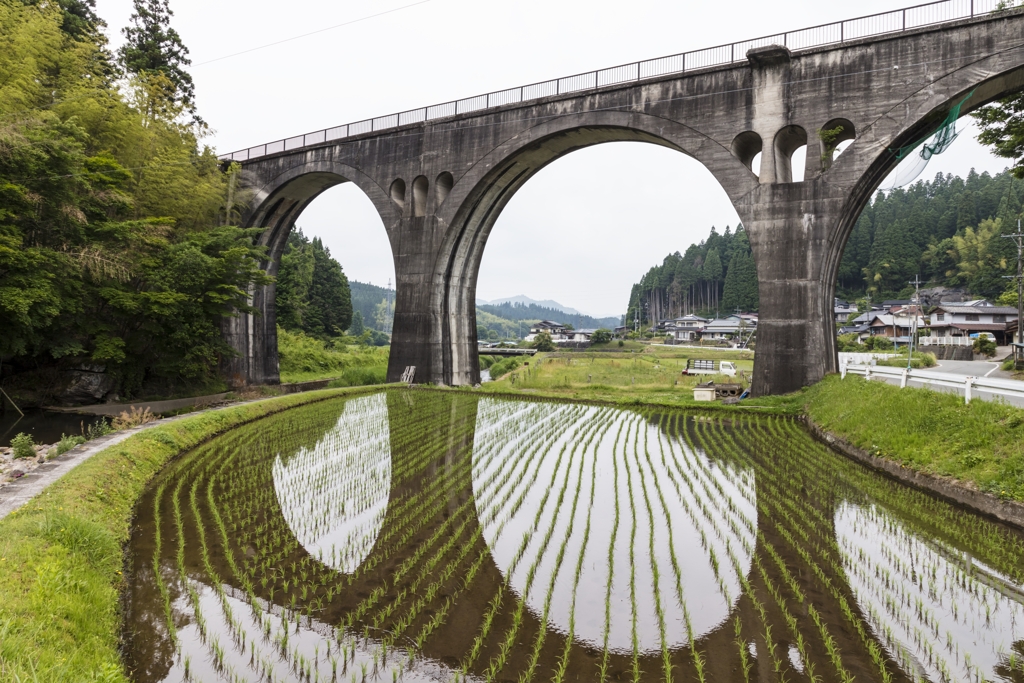 田植えの頃