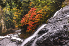 秋の滝めぐり2