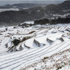 雪の棚田巡り6