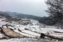 雪の棚田巡り3