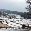 雪の棚田巡り3