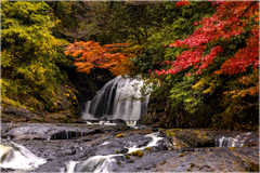 秋彩のつばめ滝