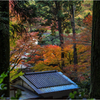 紅葉狩り2