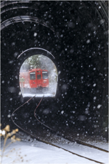 いつかの雪の日に