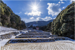 雪の日の棚田